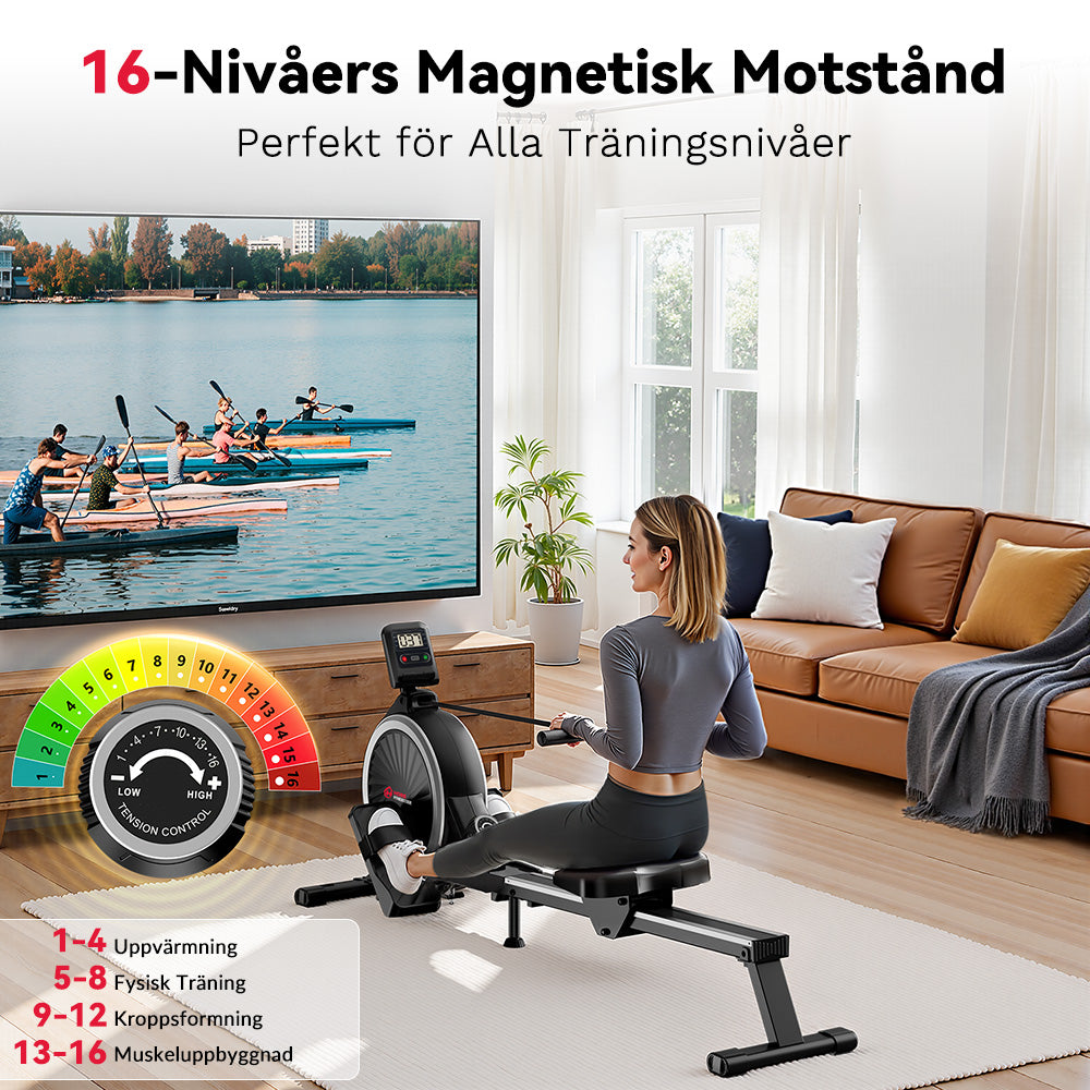 Magnetisk Roddmaskin, 16 Nivåer av Motstånd