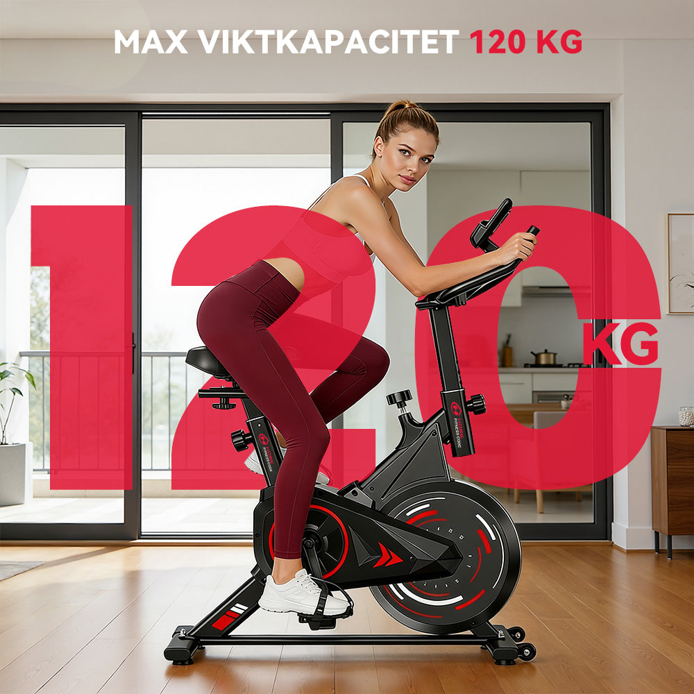 Stationär Motionscykel C1, Svänghjul 6 kg